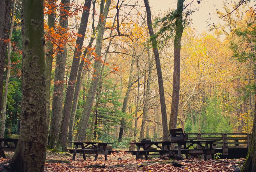 6281263336_af55d62418_o